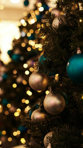 Trái châu, cây thông, trang trí, không khí giáng sinh, christmas balls, christmas tree, decoration, christmas atmosphere -  Duygu