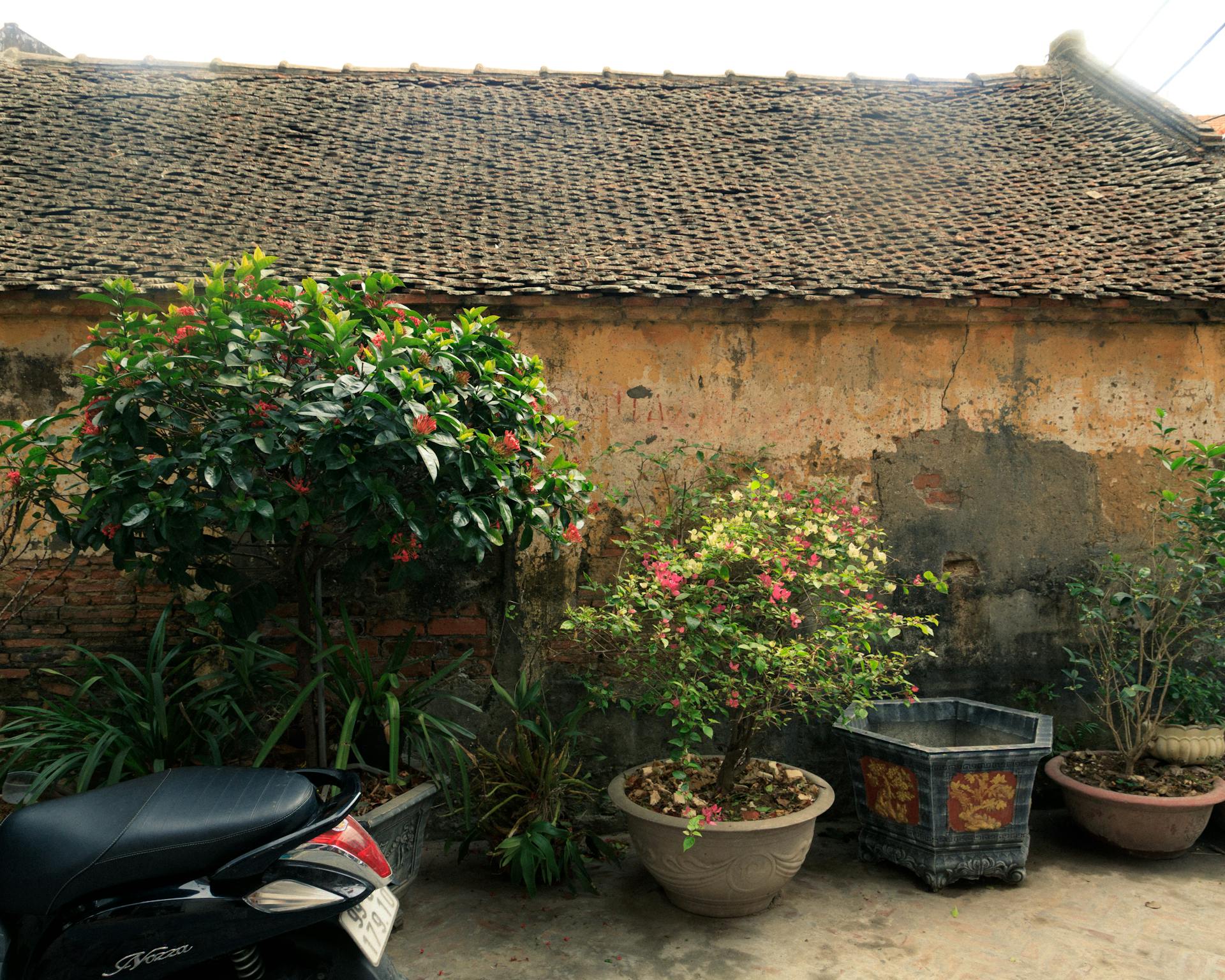 Bắc Ninh, làng cổ, nhà ngói, Việt Nam, VietNam, cổ xưa, hoài cổ, vintage - Dang Hong