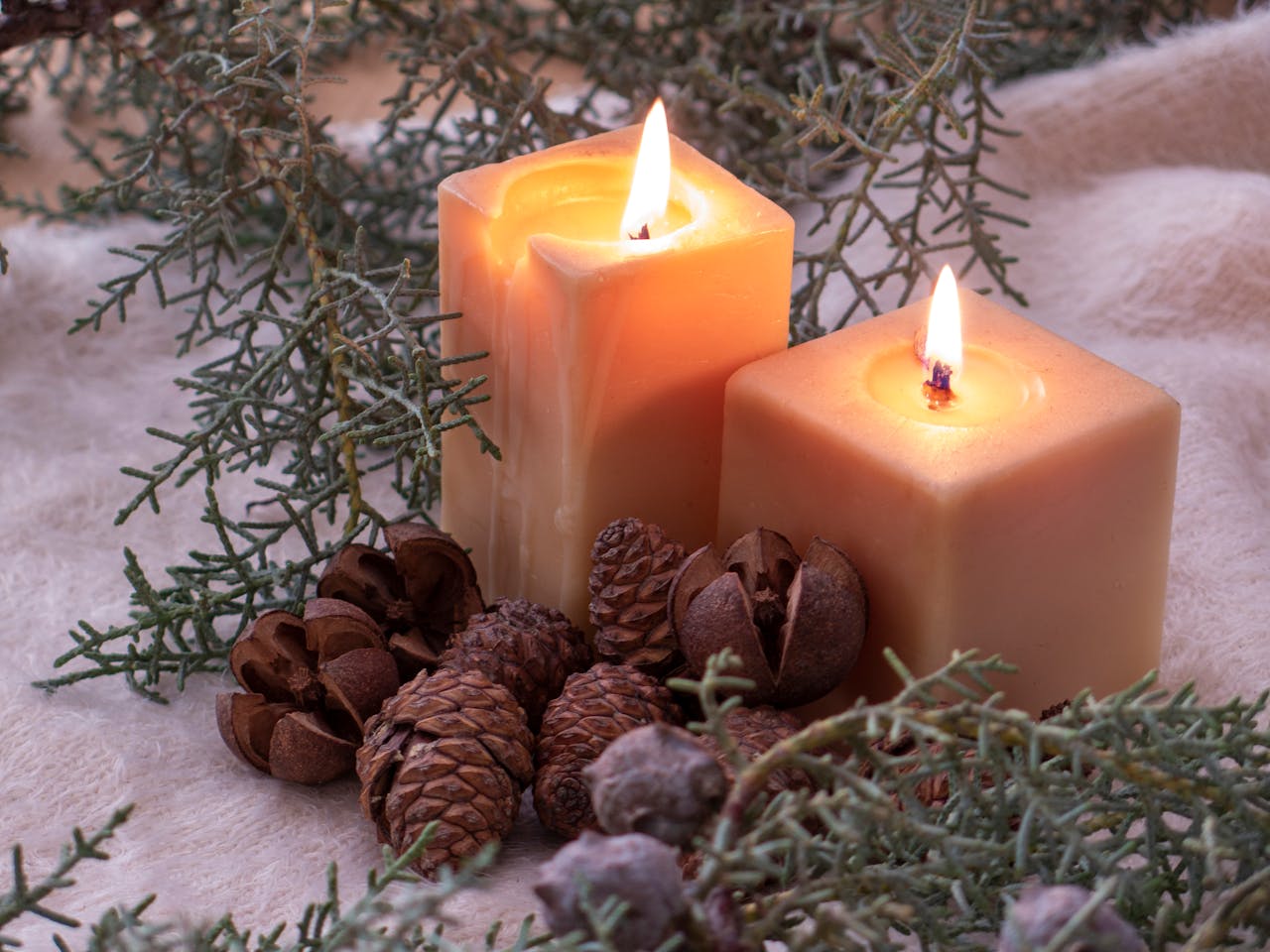 Giáng sinh, nến, trái thông, ấm áp, không khí giáng sinh, christmas, candles, pine cones, warm, christmas atmosphere - Elahe Rahimi
