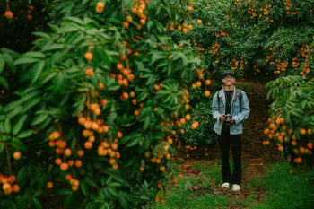 Con trai, chụp ảnh, vườn vải, nông dân, lychee garden, boy, farmer - HONG SON 3