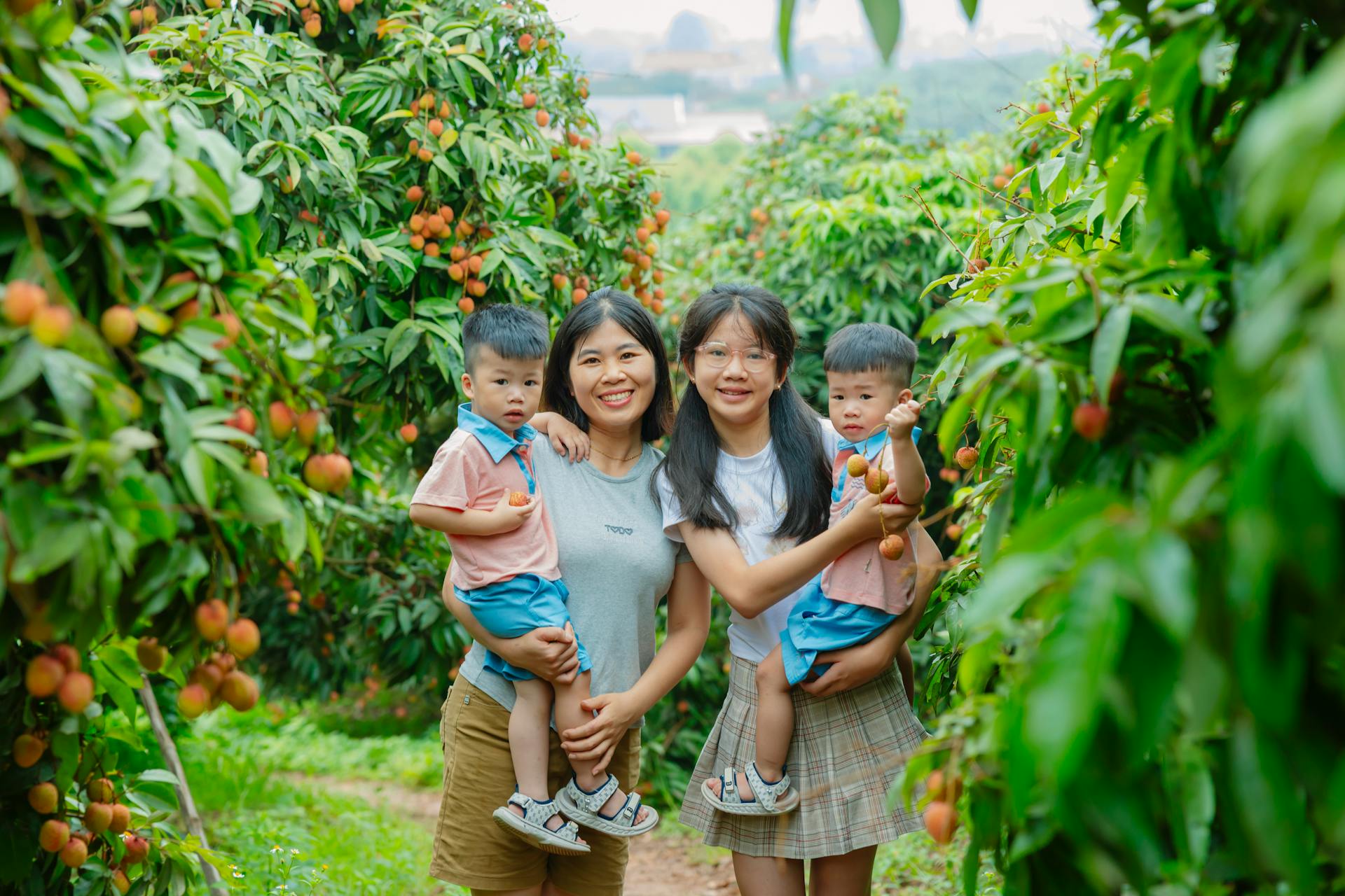 Trẻ em, vườn vải, nông dân, childrens, lychee garden, woman, farmer - HONG SON