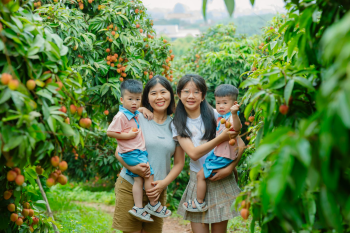 Trẻ em, vườn vải, nông dân, childrens, lychee garden, woman, farmer - HONG SON