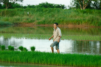 Nông dân, farmer, farm, cấy lúa, trồng lúa, nông thôn, miền quê, Việt Nam - HONG SON 9