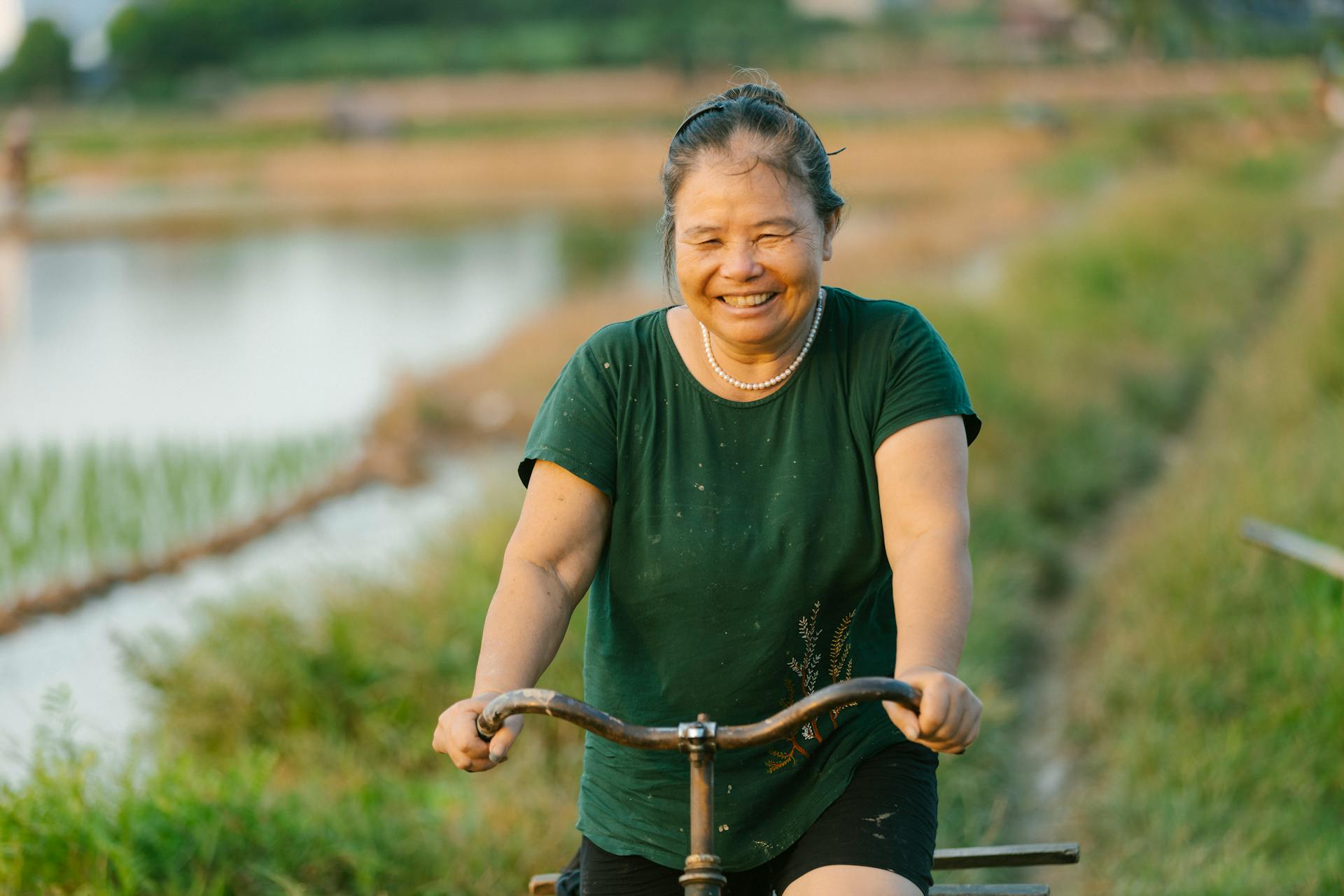 Đạp xe, cánh đồng, đồng ruộng, nông dân, làm lúa, field, paddy field, farmer, rice farming - HONG SON 3