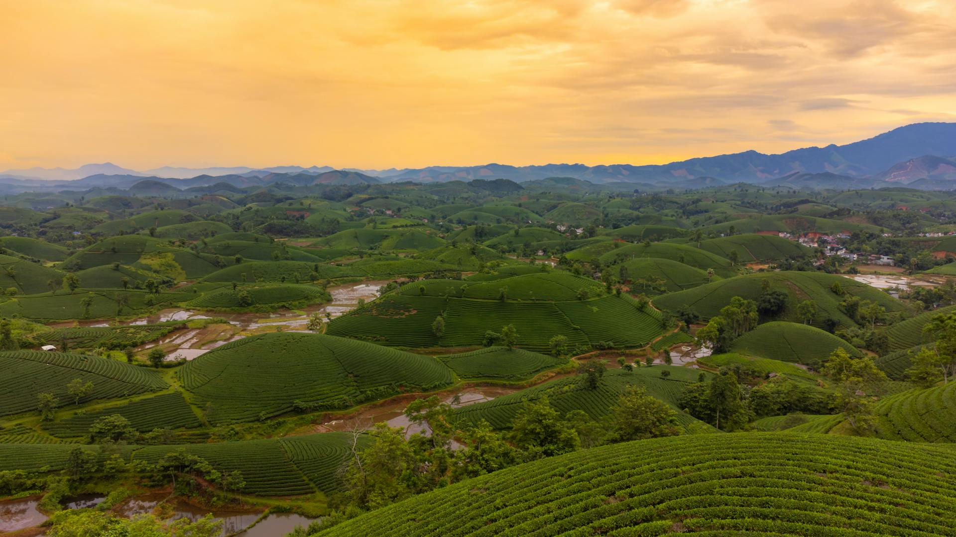 Bình minh, núi, sunrise, mountain- HONG SON