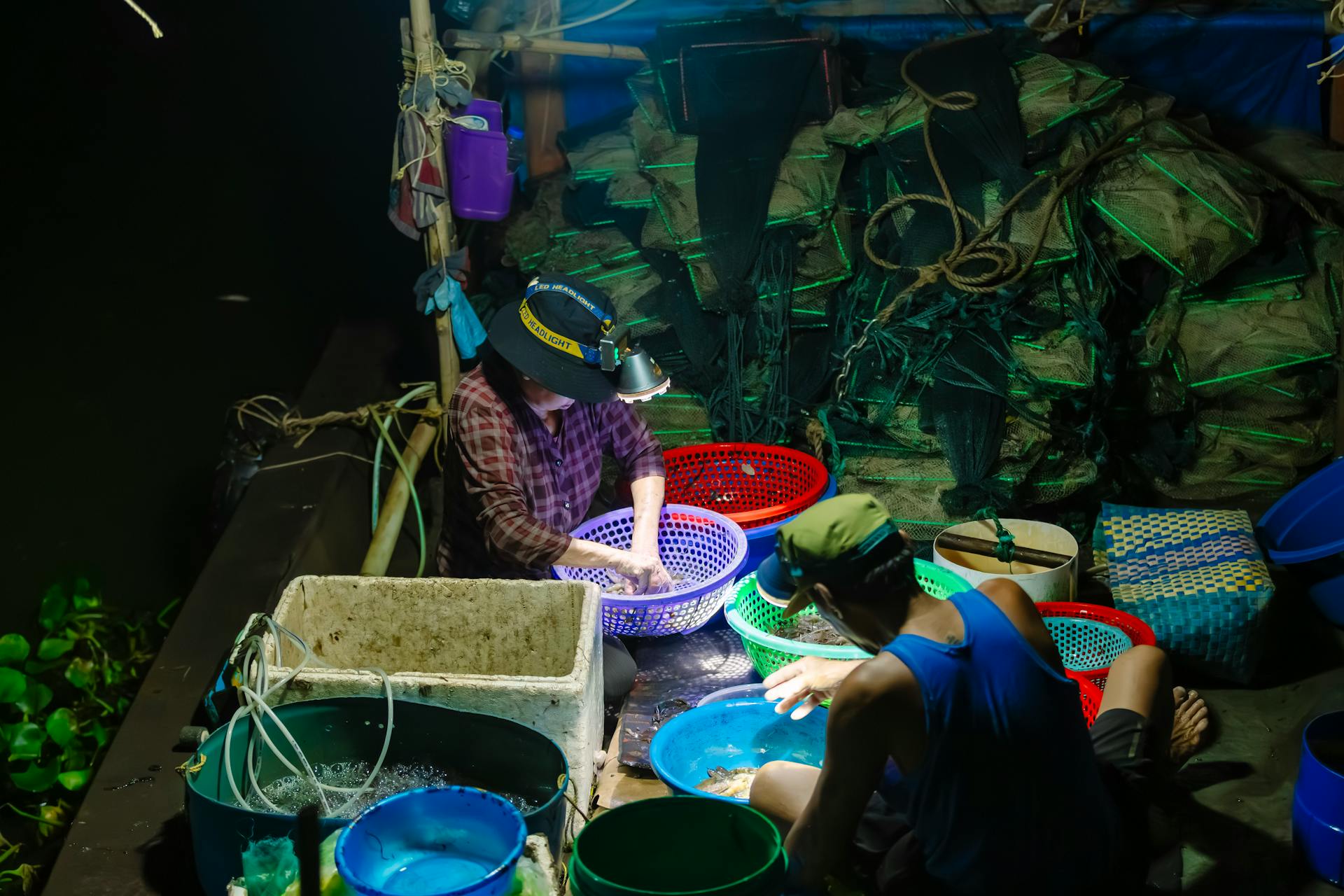 Ngư dân, làng cá, bán cá, fishermen, fishing village, selling fish- HONG SON 3