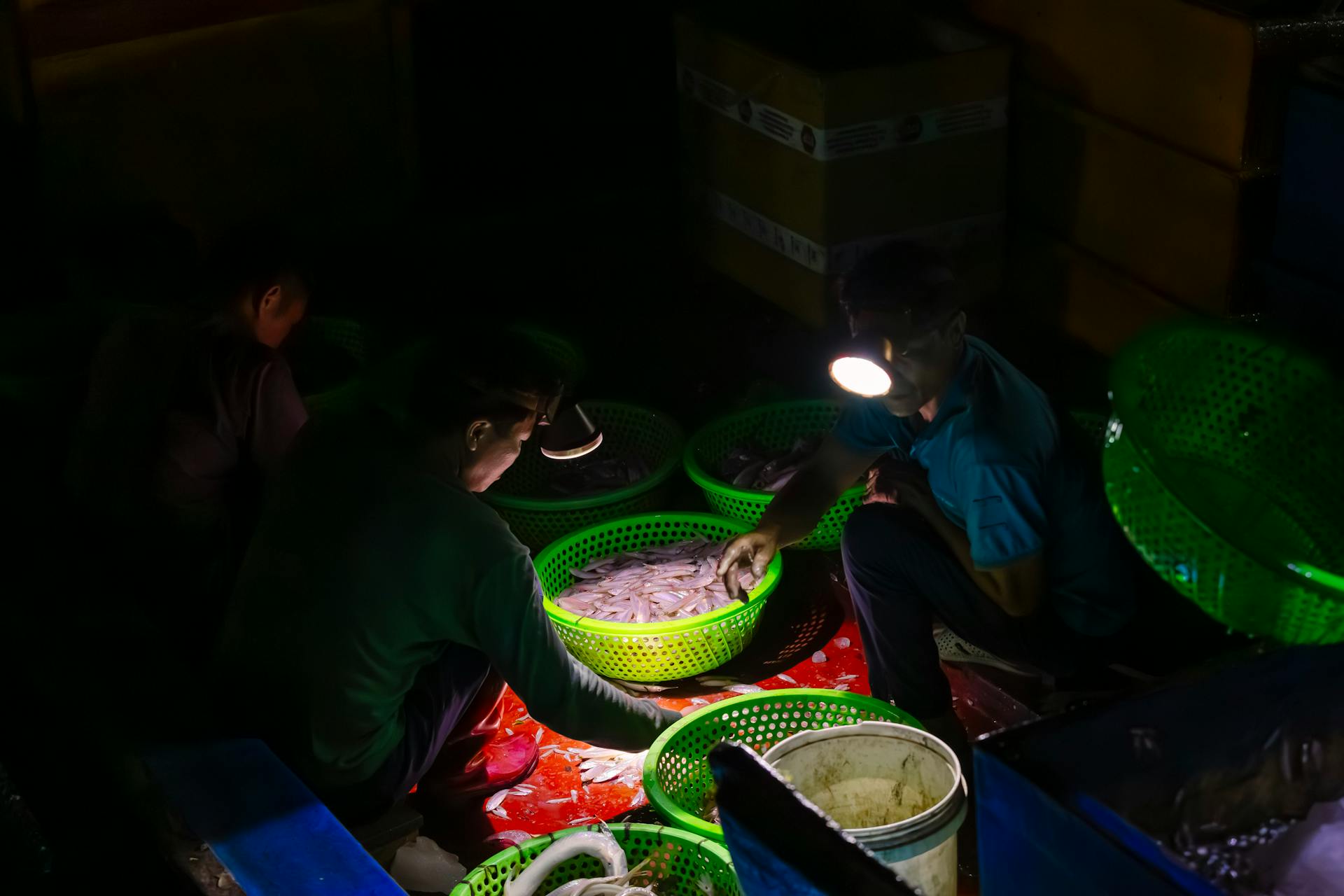 Ngư dân, làng cá, bán cá, fishermen, fishing village, selling fish- HONG SON 4