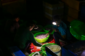Ngư dân, làng cá, bán cá, fishermen, fishing village, selling fish- HONG SON 4