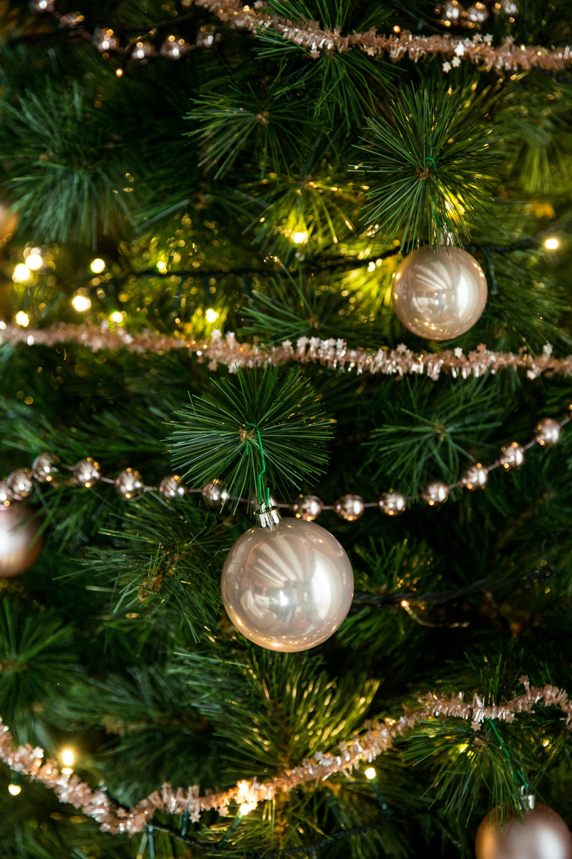 Giáng sinh, quả châu, trái châu, cây thông, hộp quà, gift, pine, xmas, christmas, noel, background, decor - Toni Cuenca