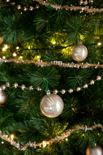 Giáng sinh, quả châu, trái châu, cây thông, hộp quà, gift, pine, xmas, christmas, noel, background, decor - Toni Cuenca