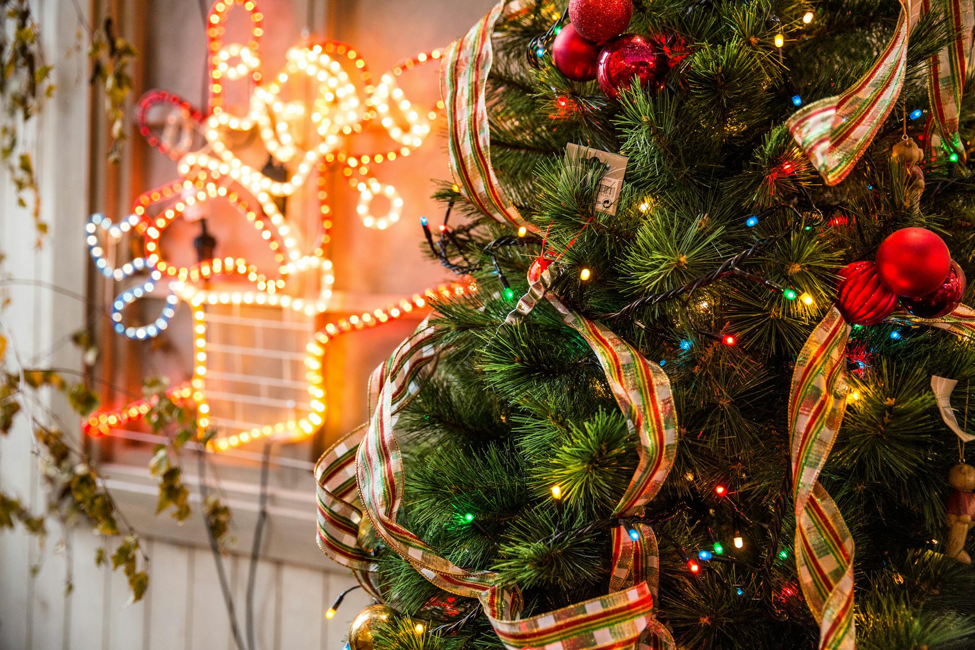Giáng sinh, quả châu, trái châu, cây thông, hộp quà, gift, pine, xmas, christmas, noel, background, decor - Toni Cuenca 3
