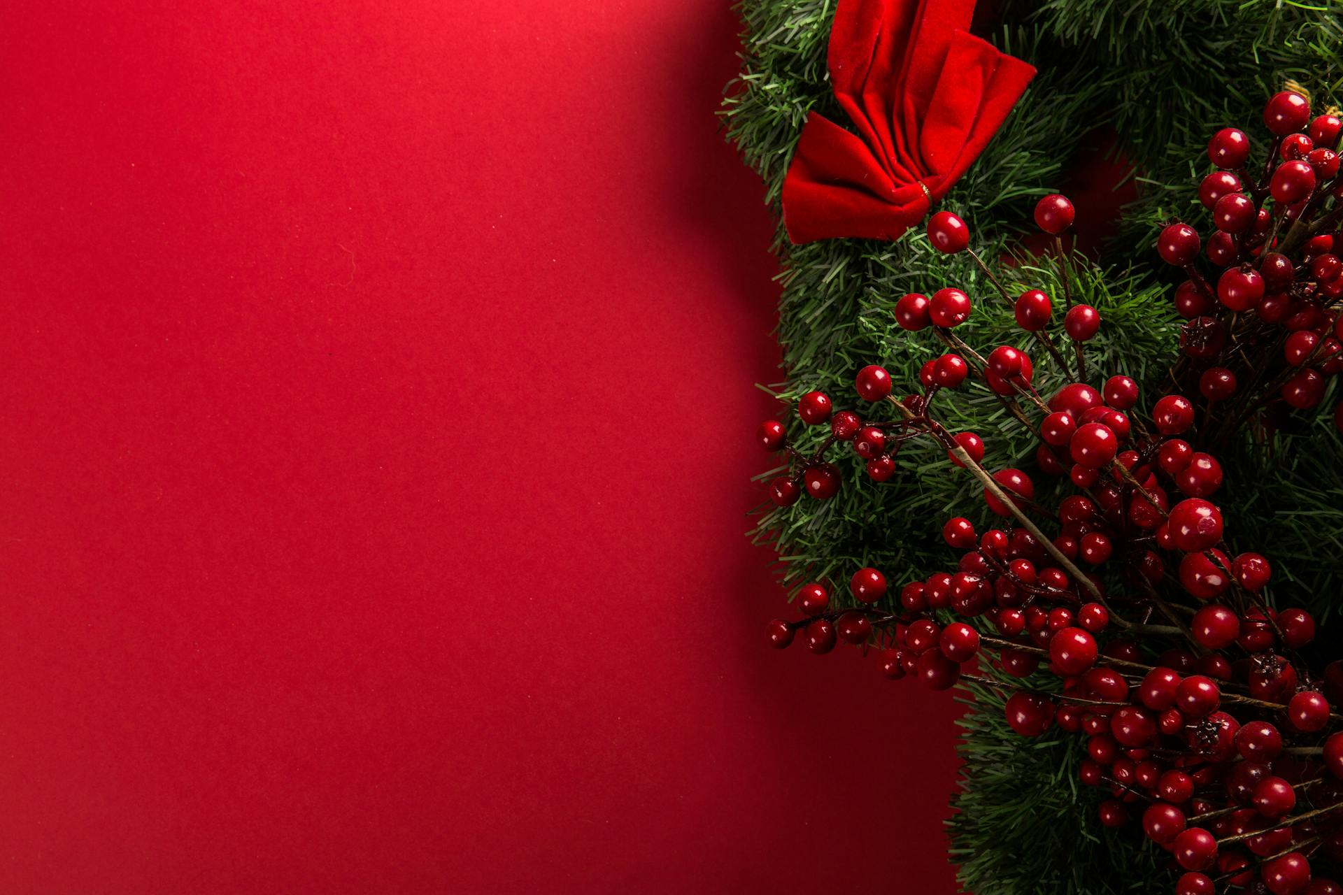 Giáng sinh, cây thông, hộp quà, gift, pine, xmas, christmas, noel, background, decor - Toni Cuenca 5