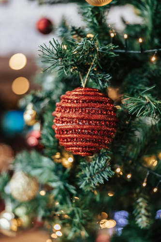 Trái châu, cây thông, trang trí, không khí giáng sinh, christmas balls, christmas tree, decoration, christmas atmosphere - Jake L. Davies