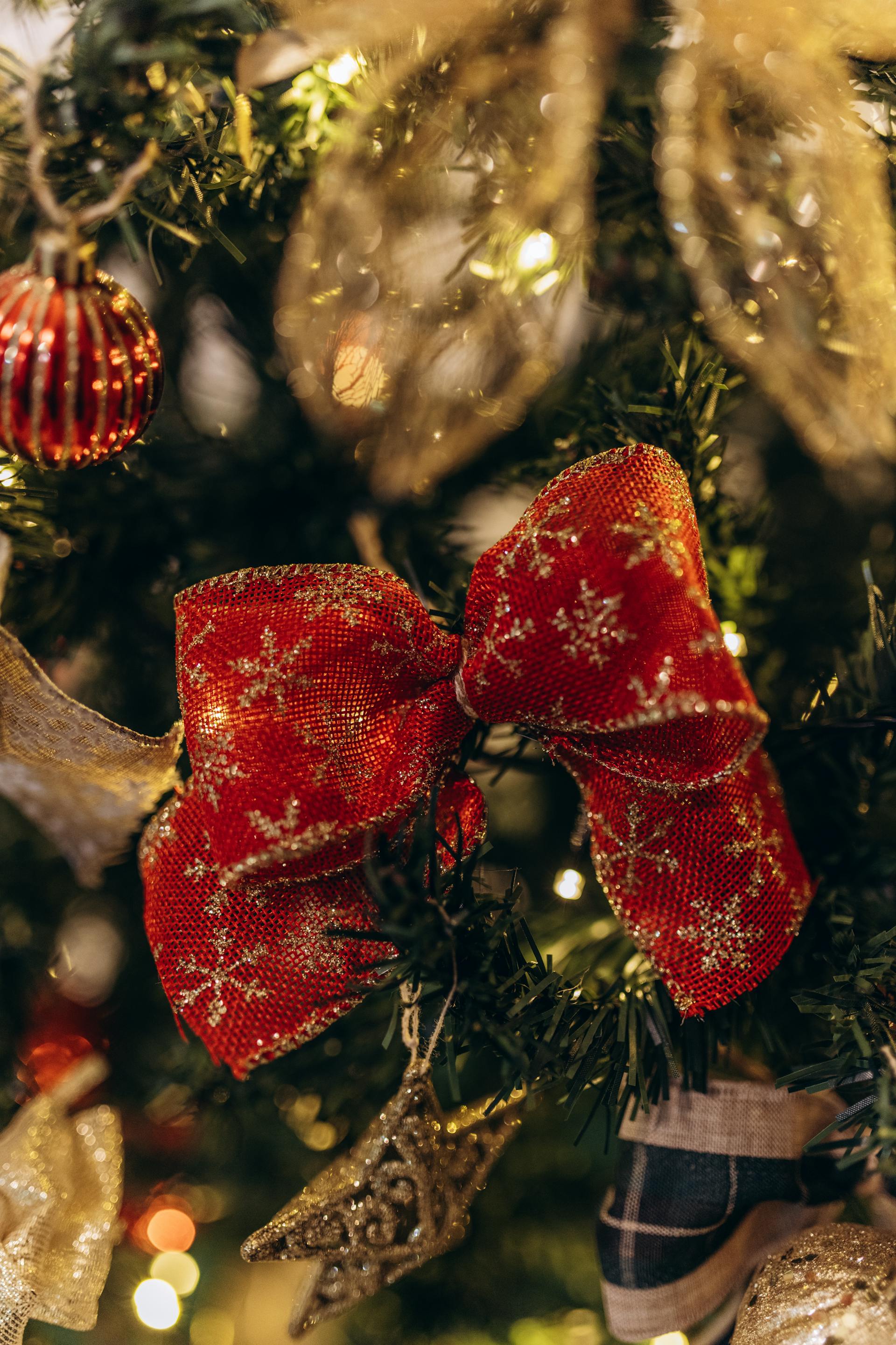 Trang trí, cây thông, giáng sinh, pine, decor, christmas, merry christmas, xmas -  Jonathan Borba