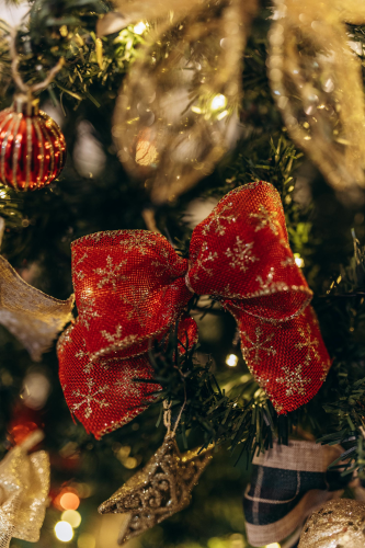 Trang trí, cây thông, giáng sinh, pine, decor, christmas, merry christmas, xmas -  Jonathan Borba