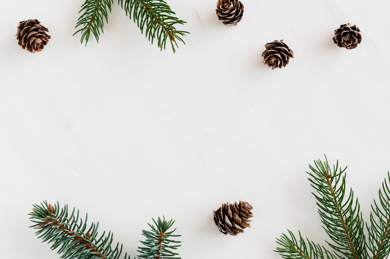 Giáng sinh, cây thông, quả thông, trang trí, christmas, pine tree, pine cones, decoration -  Karola G