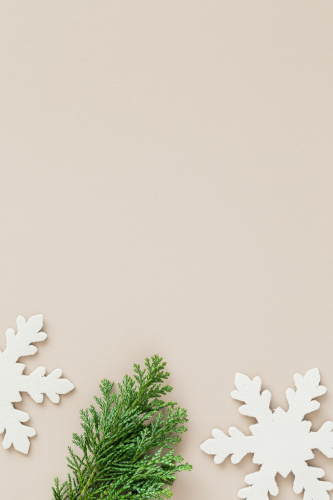 Giáng sinh, cây thông, tuyết giấy, trang trí, nền,  christmas, pine tree, paper snow, decoration, background - Karola G
