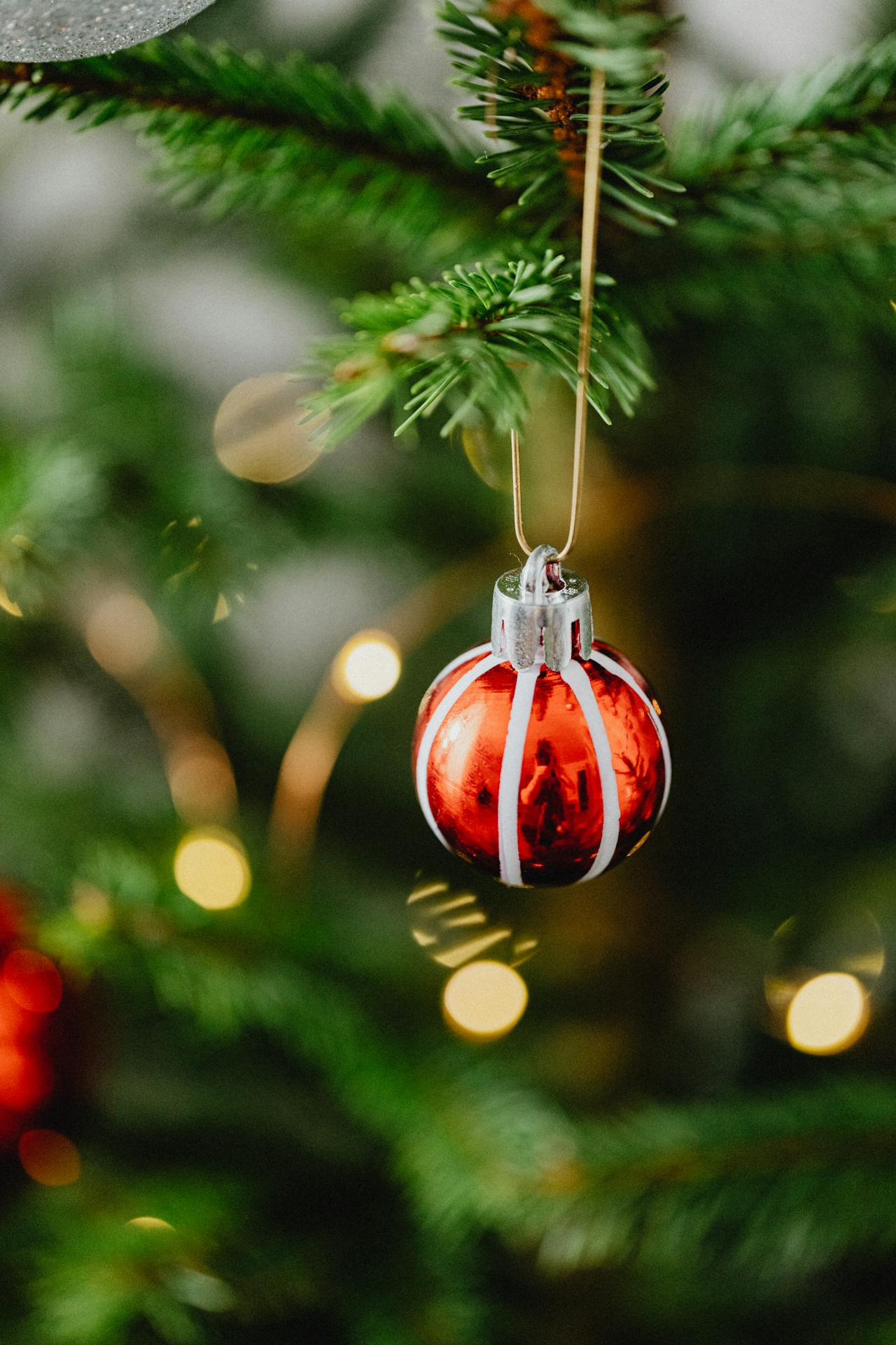Trái châu, cây thông, trang trí, không khí giáng sinh, christmas balls, christmas tree, decoration, christmas atmosphere - Karola G