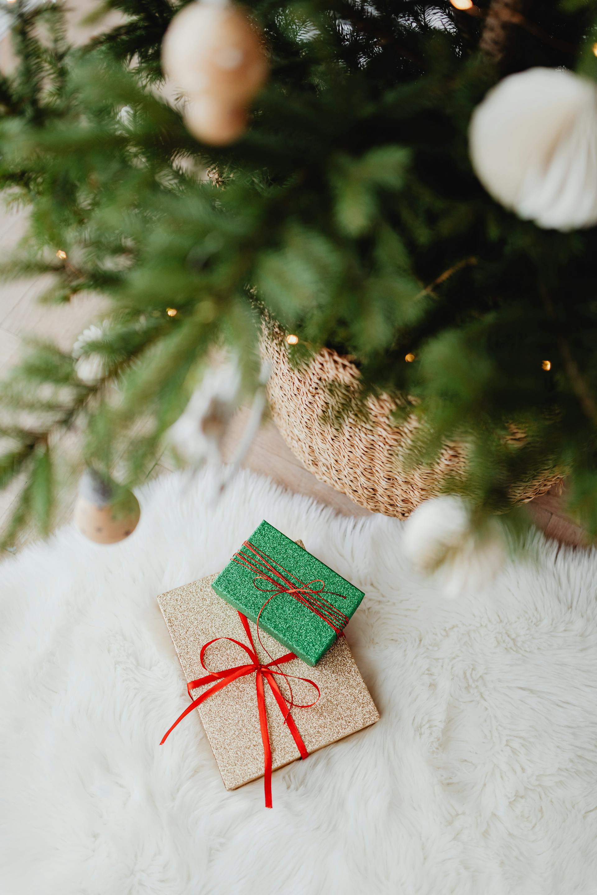 Giáng sinh, quà tặng, hộp quà, gift box, gift, cây thông, pine, xmas, noel, christmas, merry christmas - Karola G 1