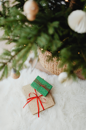 Giáng sinh, quà tặng, hộp quà, gift box, gift, cây thông, pine, xmas, noel, christmas, merry christmas - Karola G 1