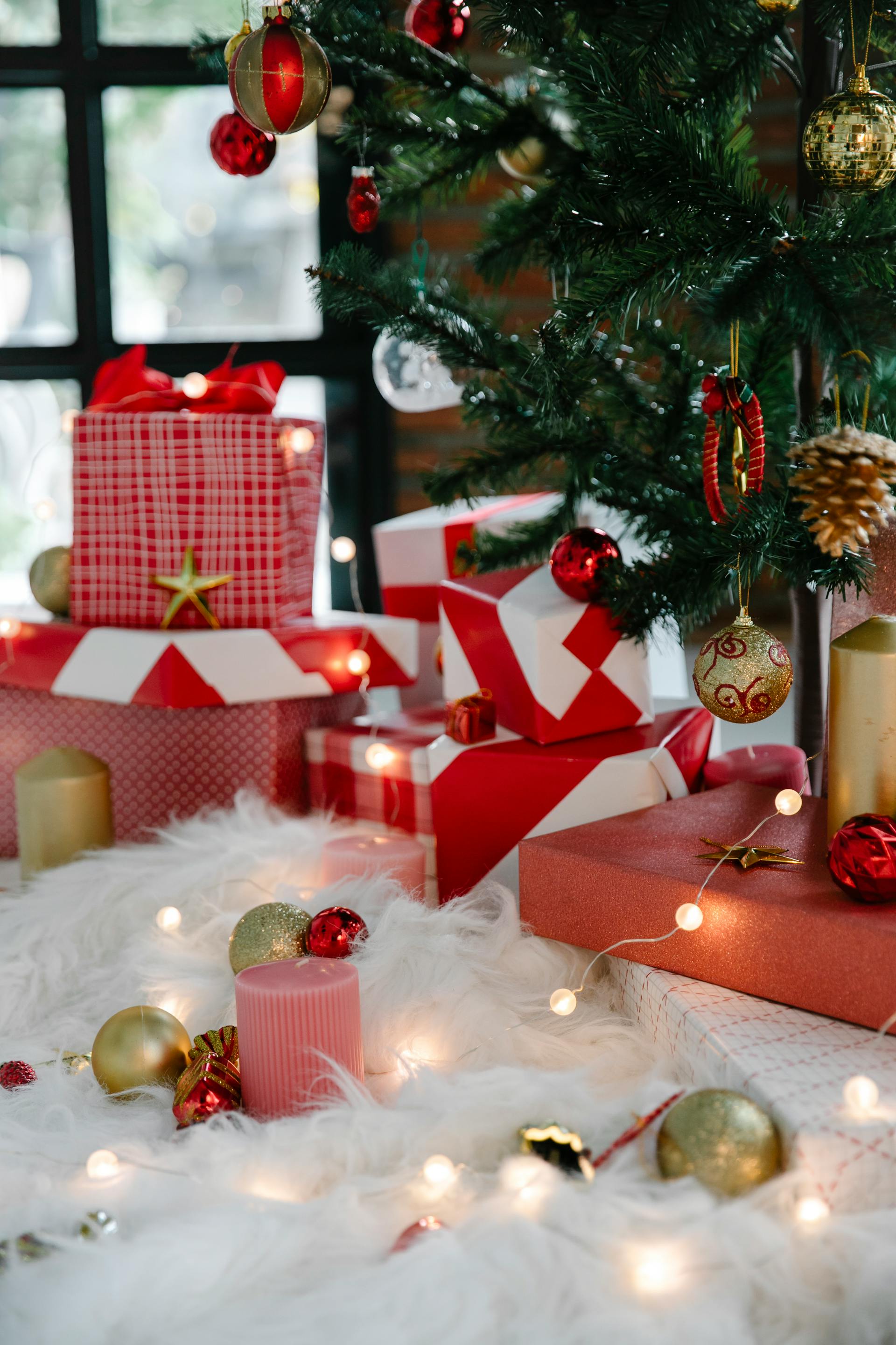 Giáng sinh, quà tặng, hộp quà, gift box, gift, cây thông, pine, xmas, noel, christmas, merry christmas - Laura James 1