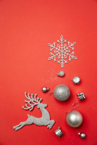 Giáng sinh, trang trí, trái châu, tuần lộc, decor, noel, christmas- Laura James 6