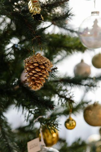 Giáng sinh, trang trí, cây thông, pine tree, decor, noel, christmas- Laura James 15