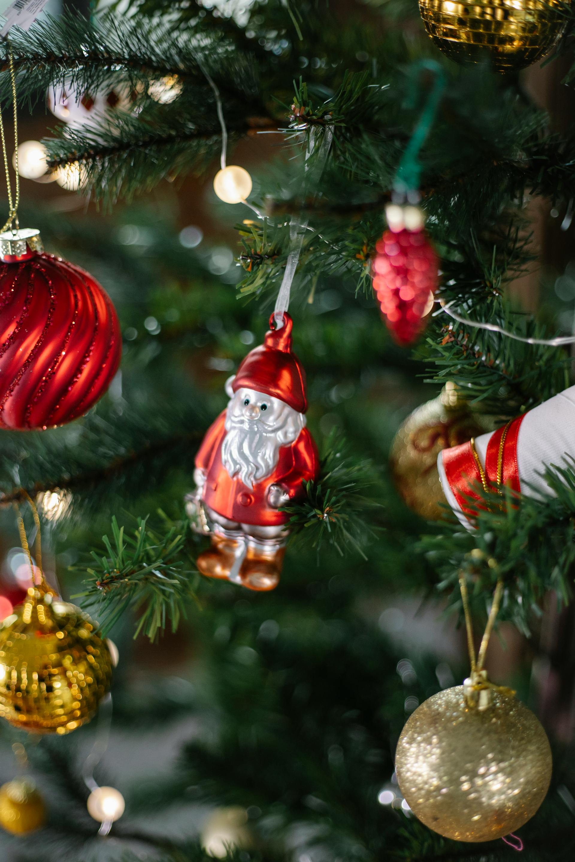 Ông già noel, hộp quà, nến, giáng sinh, cây thông, ông già, pine tree, noel, christmas- Laura James 4