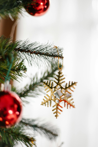 Giáng sinh, trang trí, cây thông, pine tree, decor, noel, christmas- Laura James 18