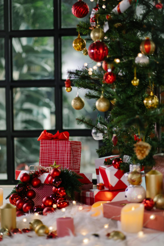 Giáng sinh, quà tặng, hộp quà, gift box, gift, cây thông, pine, xmas, noel, christmas, merry christmas - Laura James 2
