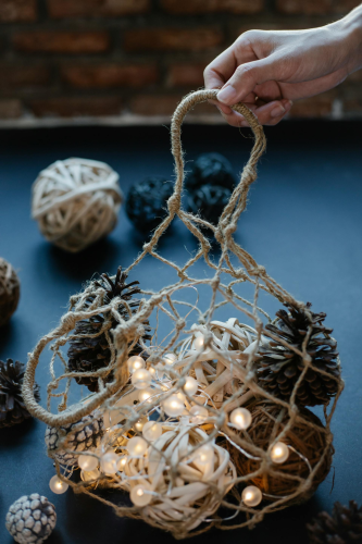 Đèn, giáng sinh, trang trí, cây thông, pine tree, decor, noel, christmas- Laura James