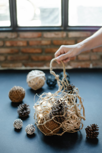 Đèn, giáng sinh, trang trí, cây thông, pine tree, decor, noel, christmas- Laura James 1