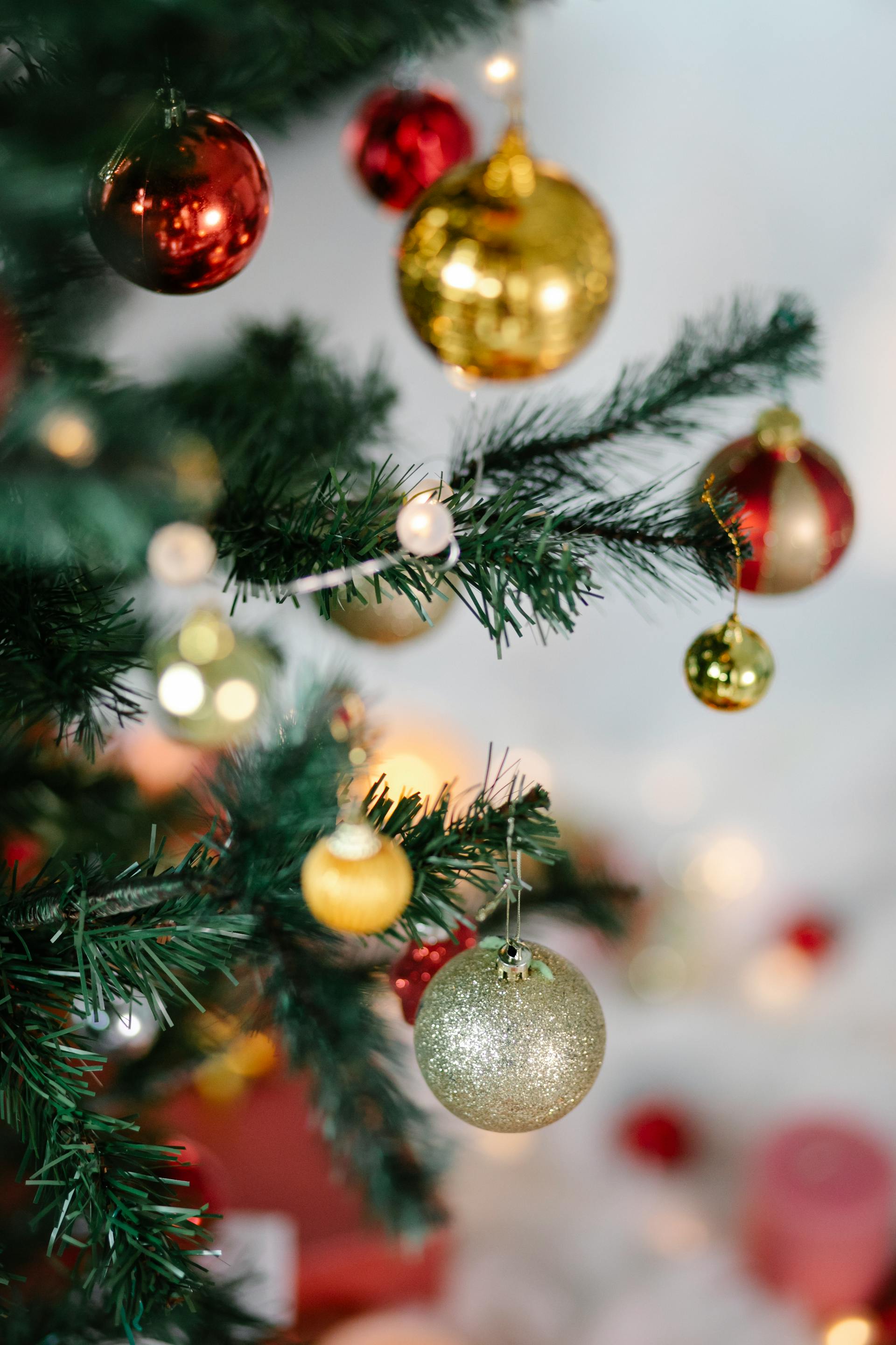 Trang trí, cây thông, giáng sinh, pine, decor, christmas, merry christmas, xmas -  Laura James 54