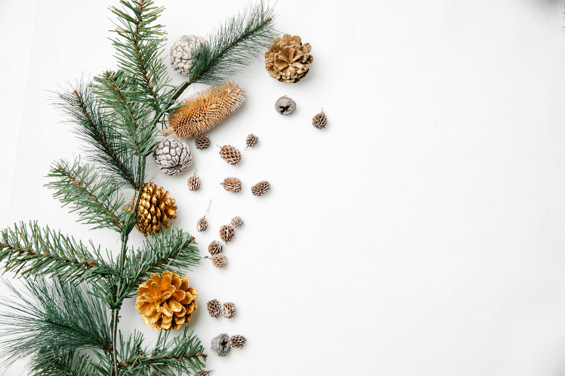 Giáng sinh, trang trí, cây thông, pine tree, decor, noel, christmas- Laura James 28