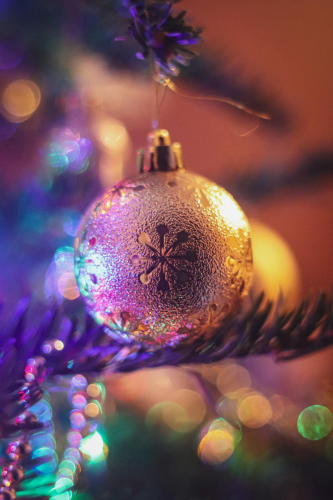 Trái châu, cây thông, trang trí, không khí giáng sinh, christmas balls, christmas tree, decoration, christmas atmosphere - Boys in Bristol Phot