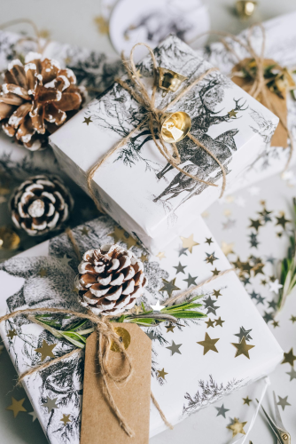 Giáng sinh, quà tặng, hộp quà, gift box, gift, cây thông, pine, xmas, noel, christmas, merry christmas - Leeloo The First 1
