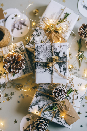 Giáng sinh, quà tặng, hộp quà, gift box, gift, cây thông, pine, xmas, noel, christmas, merry christmas - Leeloo The First 2