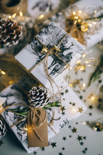 Giáng sinh, quà tặng, hộp quà, gift box, gift, cây thông, pine, xmas, noel, christmas, merry christmas - Leeloo The First 6