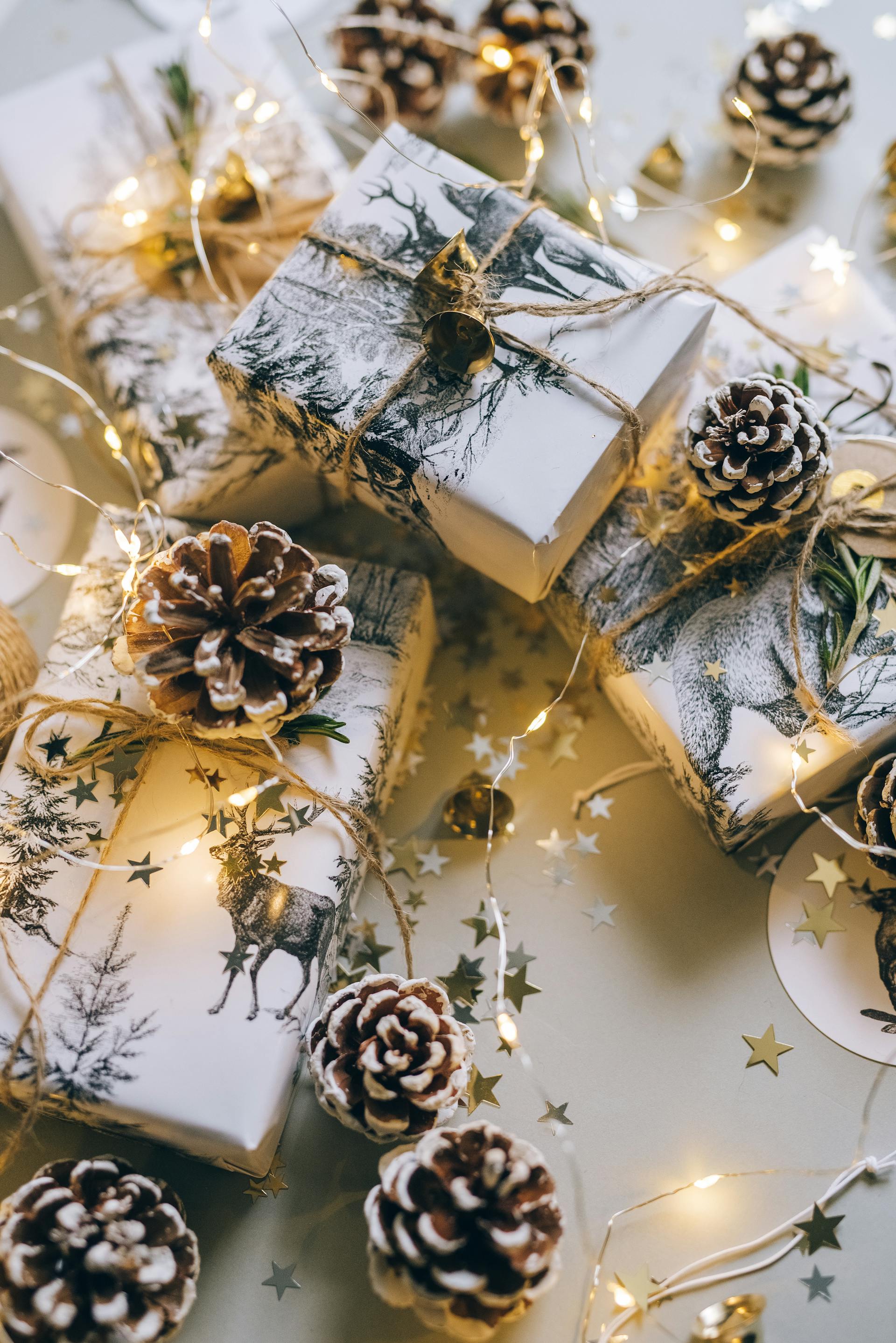 Giáng sinh, quà tặng, hộp quà, gift box, gift, cây thông, pine, xmas, noel, christmas, merry christmas - Leeloo The First 5