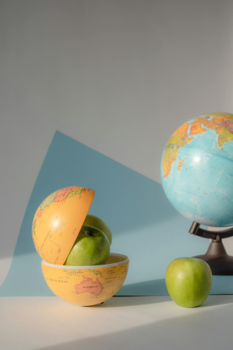 Quả địa cầu, địa lý, giáo dục, quả táo, Globe, geography, education, apple -  Marina Leonova