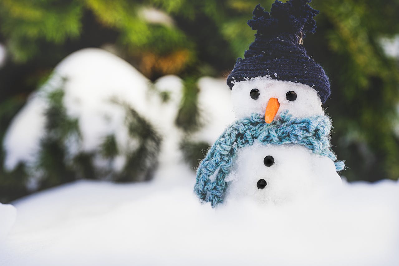 Giáng sinh, người tuyết, dễ thương, trang trí, christmas, snowman, cute, decoration - Ylanite Koppens 1