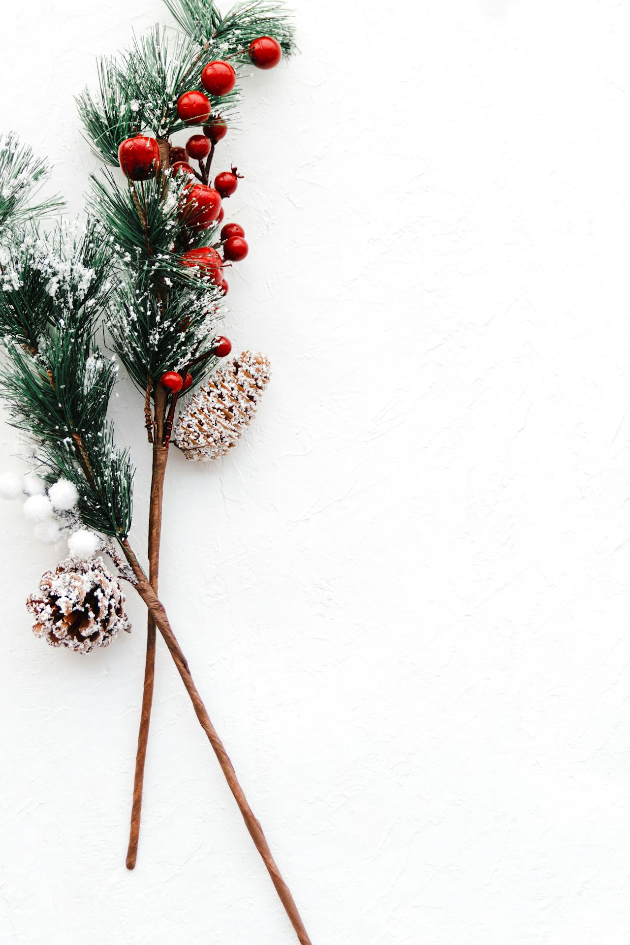 Giáng sinh, cây thông, quả châu, trang trí, christmas, pine tree, pearl, decoration - Pauline Raw