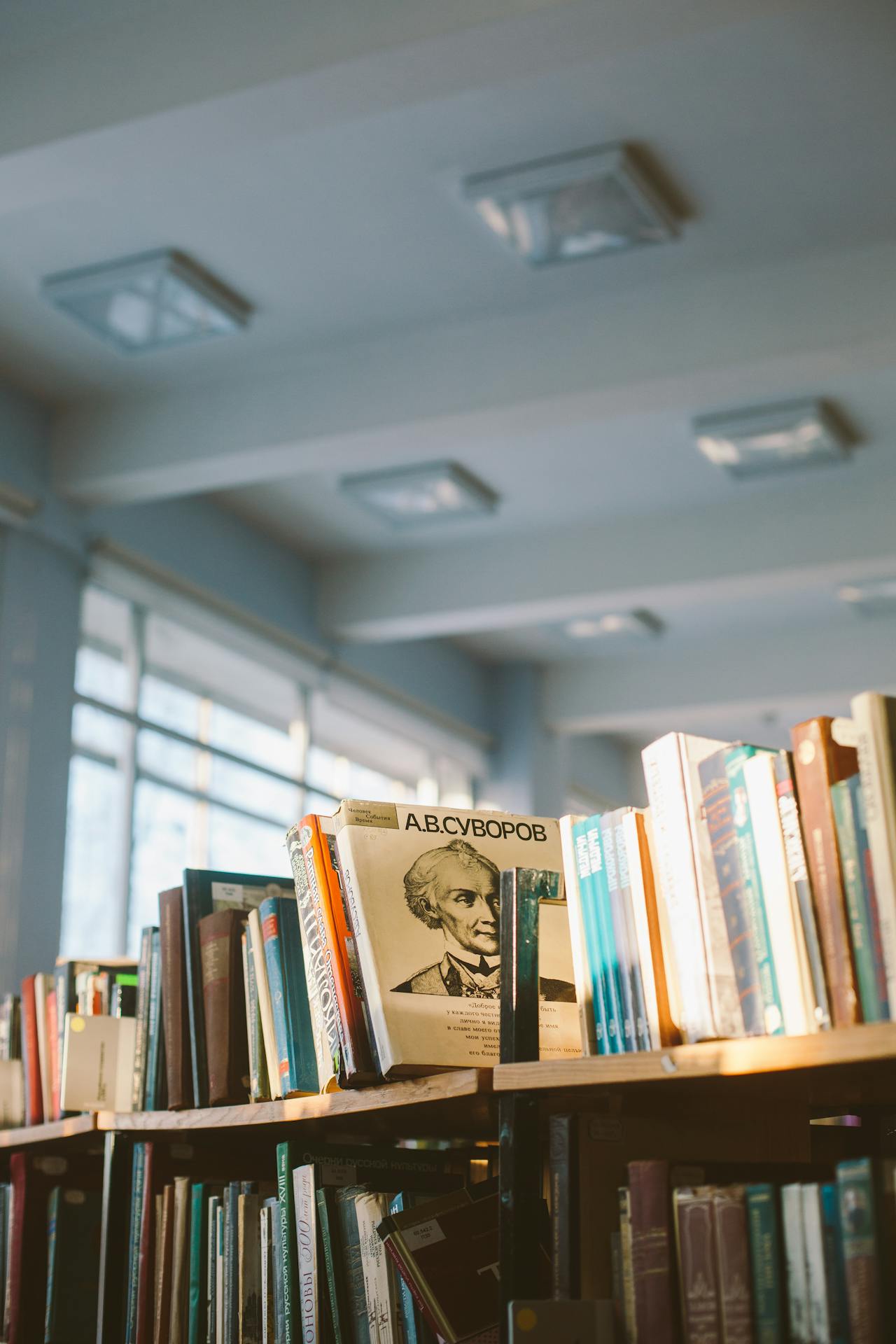Nhà sách, thư viện, sách, không gian, bookstore,library, book, space -Polina Zimmerman