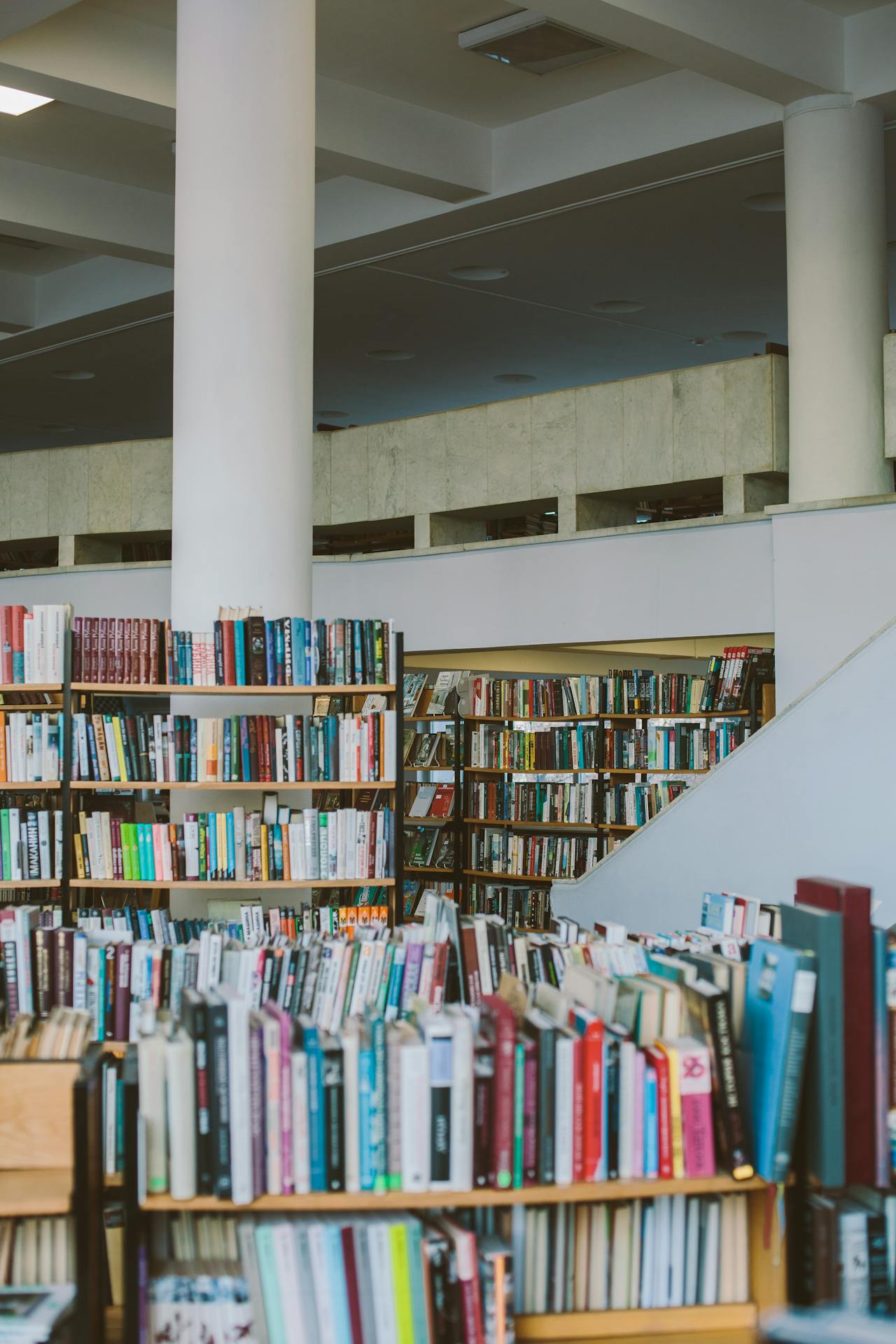 Nhà sách, thư viện, sách, không gian, bookstore,library, book, space -Polina Zimmerman 1