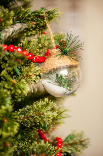 Trái châu, cây thông, trang trí, không khí giáng sinh, christmas balls, christmas tree, decoration, christmas atmosphere - Juan Hernandez Jr