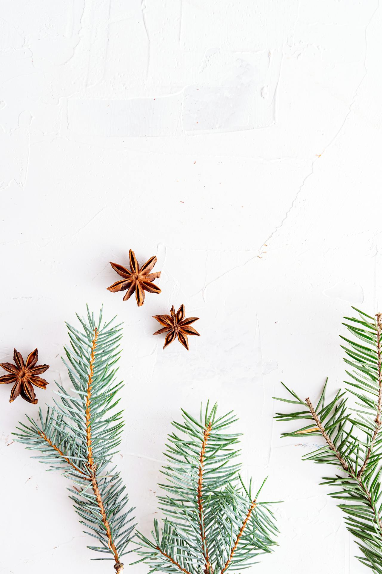 Giáng sinh, cây thông, quả thông, trang trí, christmas, pine tree, pine cones, decoration - Antoni Shkraba Studio