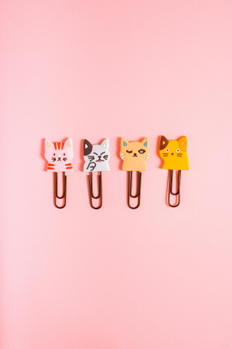 Kẹp giấy, ghim, pin, đồ dùng học tập, trường, school supplies, school- Antoni Shkraba Studio