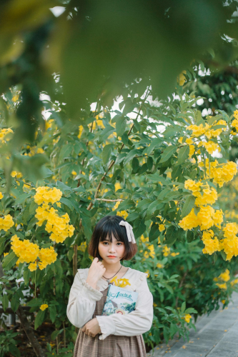 Con gái, girl, hoa, flower, ngoại cảnh, Việt Nam - Huy Nguyễn 6