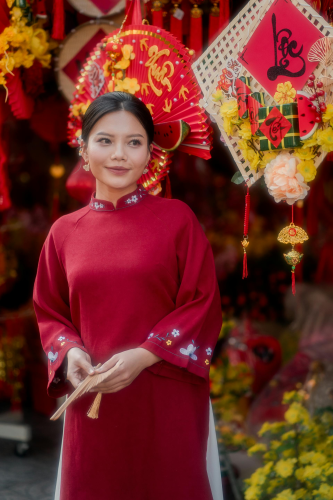 Áo dài, Tết, xuân, con gái, girl, women, trang phục truyền thống, Việt Nam - Huy Nguyễn 15