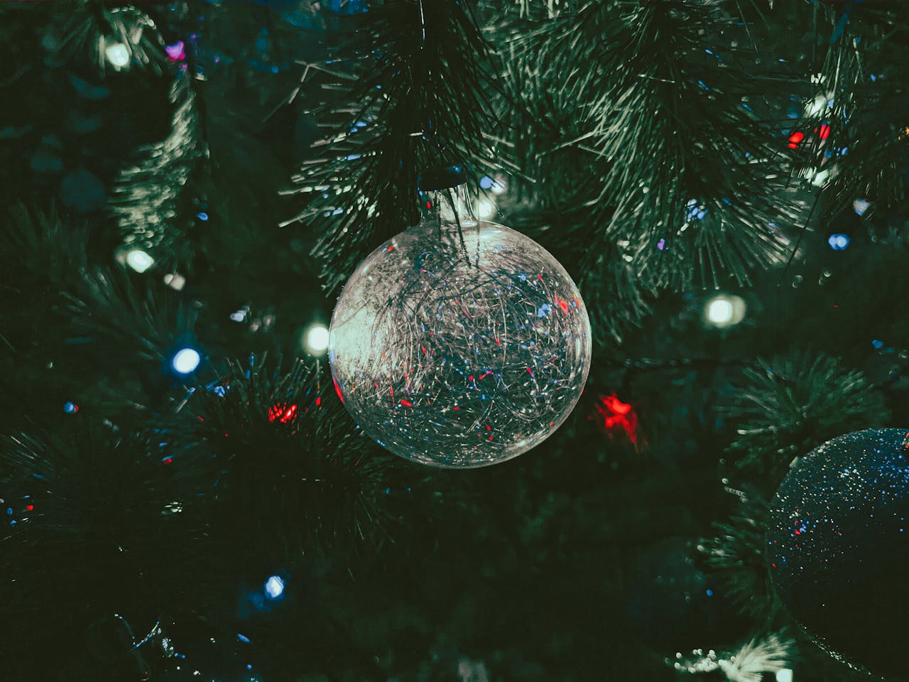 Trái châu, cây thông, trang trí, không khí giáng sinh, christmas balls, christmas tree, decoration, christmas atmosphere- Ale Conchillos